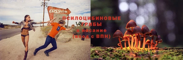 каннабис Приозерск