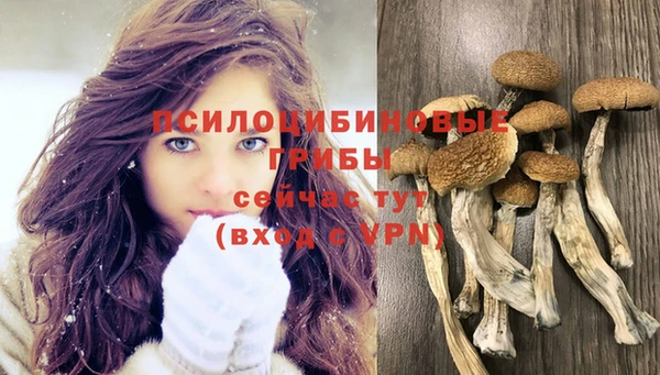 не бодяженный Абинск