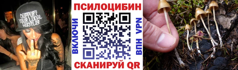 Галлюциногенные грибы Cubensis  Каменск-Шахтинский 